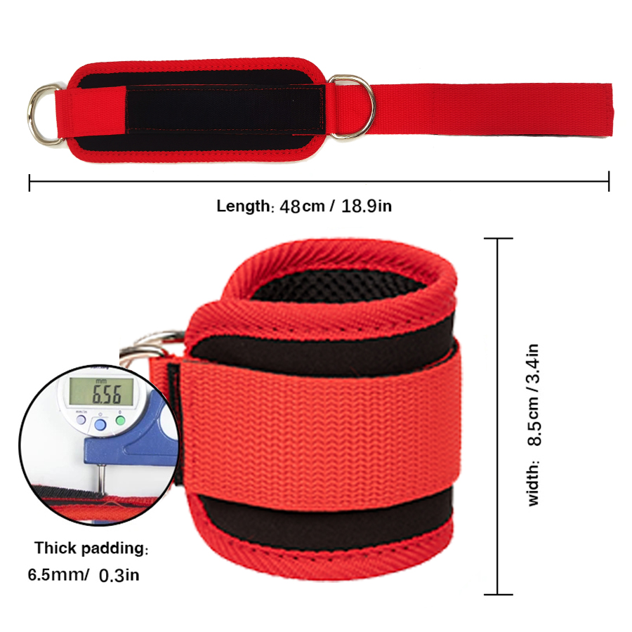 Fitness Ankle Straps Adjustabl - D Ring Strap 评论和价格