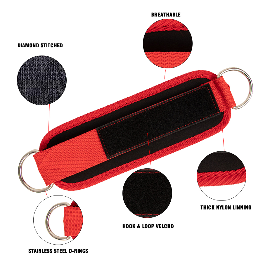 Fitness Ankle Straps Adjustabl - D Ring Strap 评论和价格